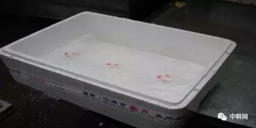 水产养殖技术干货,带鲜味的动物食材