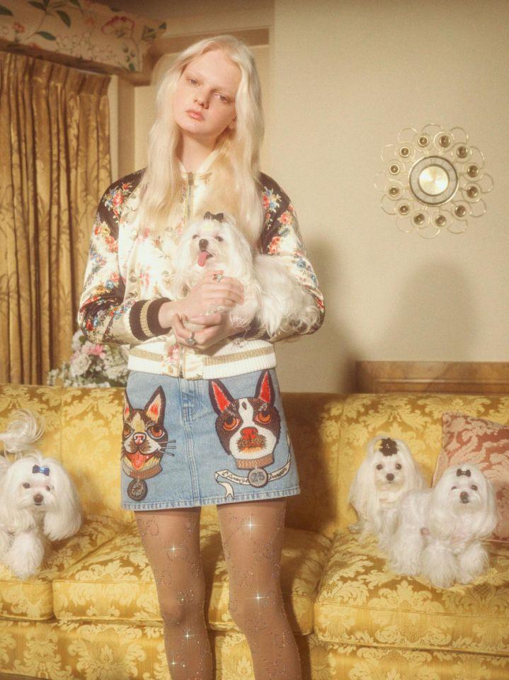 gucci狗头包,gucci狗头包2019