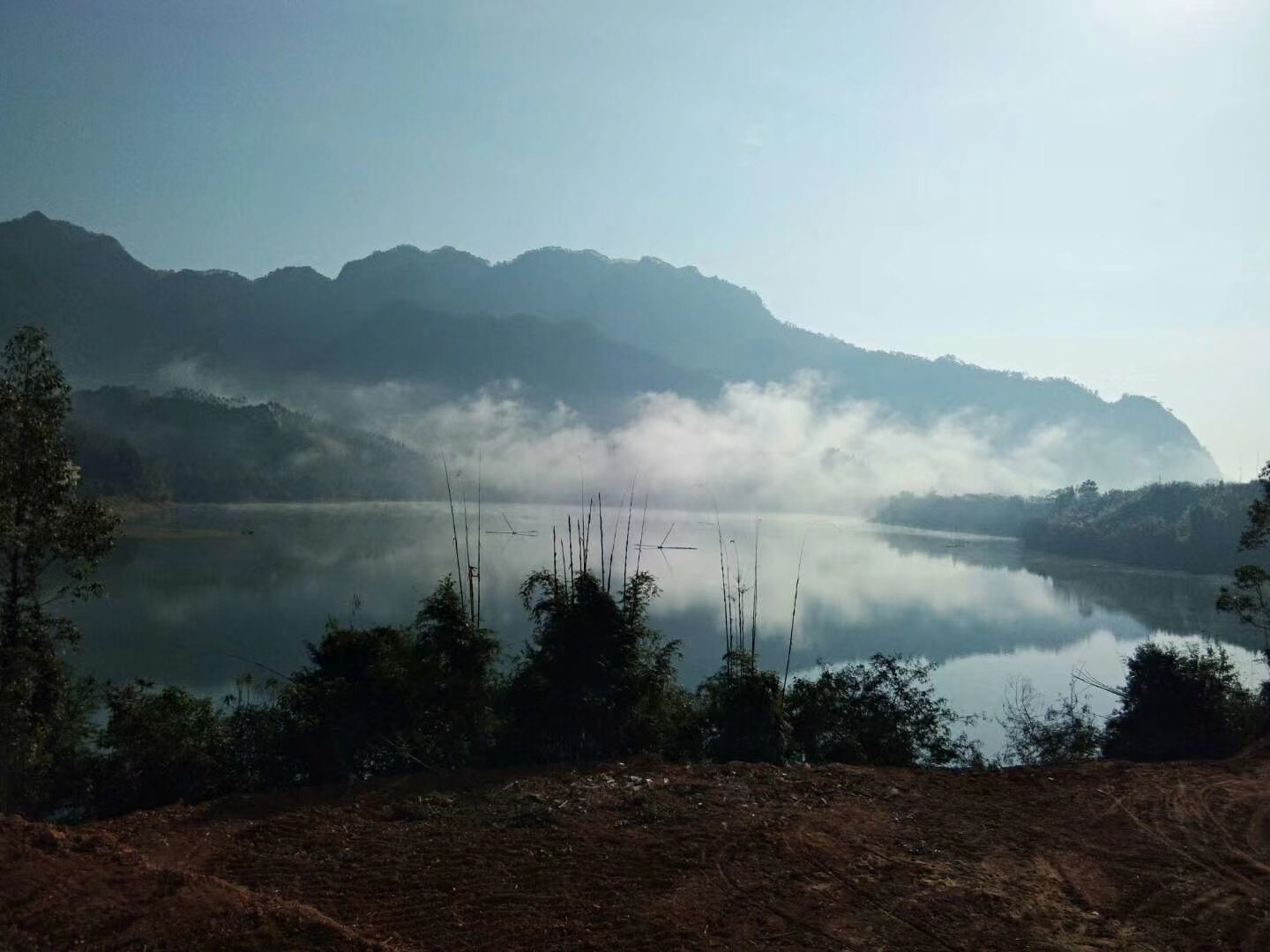 广西农村土制红糖,广西农业种植红糖