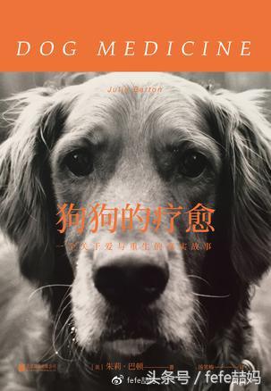 小狗的亲子故事,小狗亲子阅读