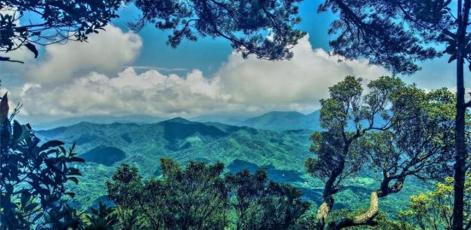 三亚旅游攻略纪念品,自驾游海南三亚必备物品清单