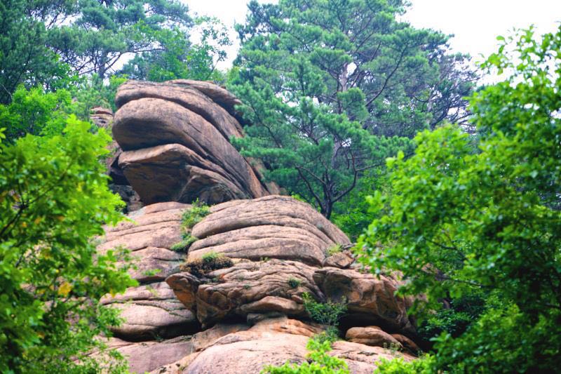 沈阳森林公园神秘谷,十一游抚顺猴石国家森林公园