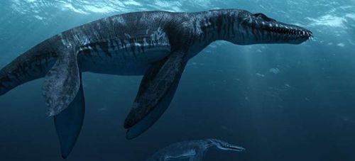 盘点六种恐龙哪家强,十大最好恐龙排行榜