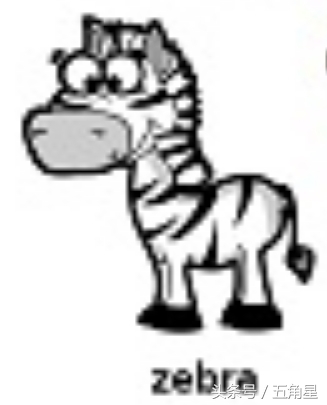 30个动物英语单词视频,动物的英语单词常见100个