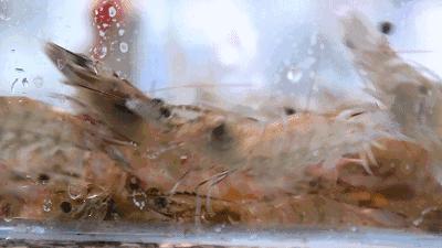 娉夊窞甯傚尯鍝簺姣旇緝濂界殑娴烽矞閰掓ゼ,娉夊窞娴烽矞缇庨鎺掕姒滃墠鍗佸悕