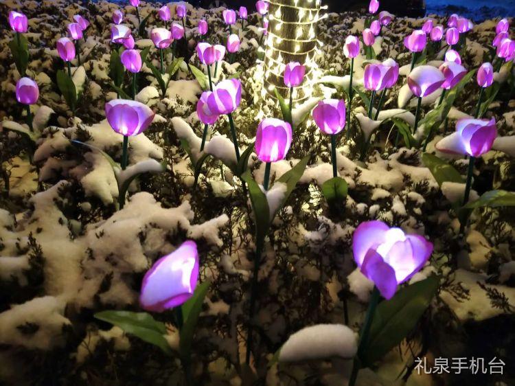 礼泉九嵕山美景,夜幕下的礼泉