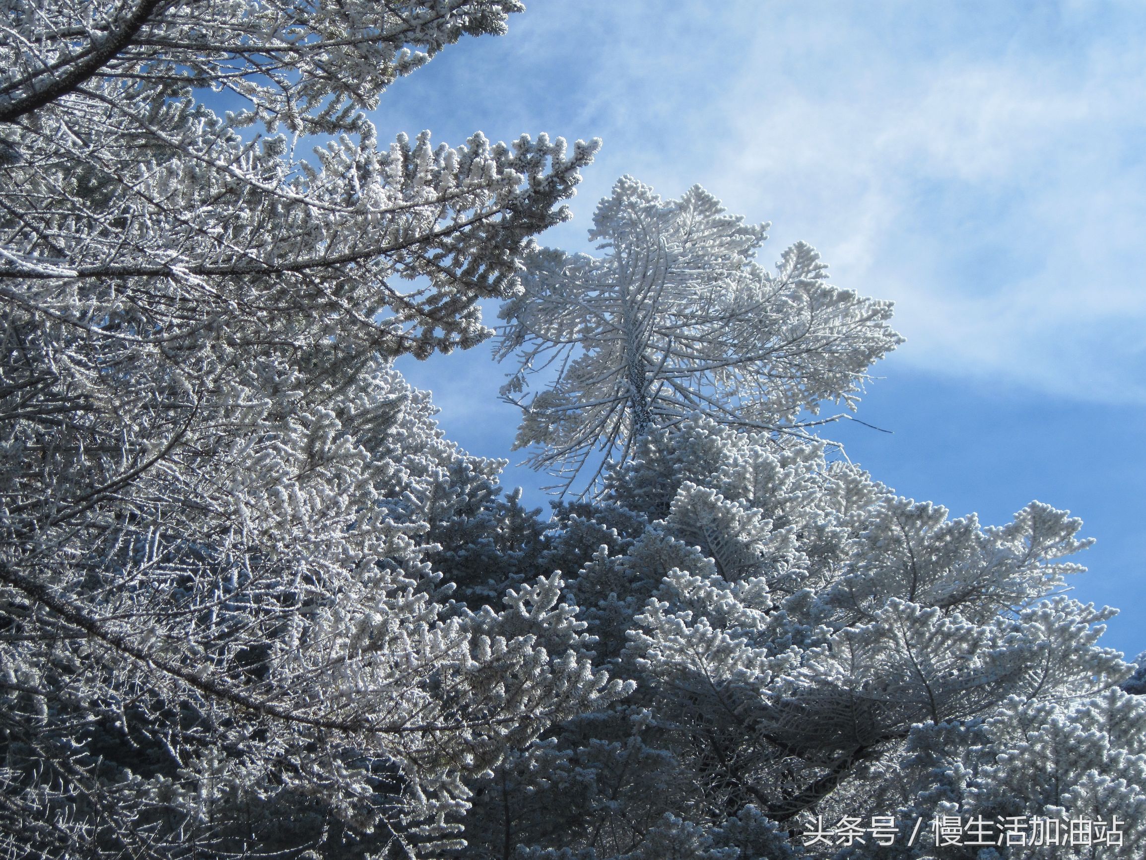 滇中轿子雪山风景区,滇中雪山