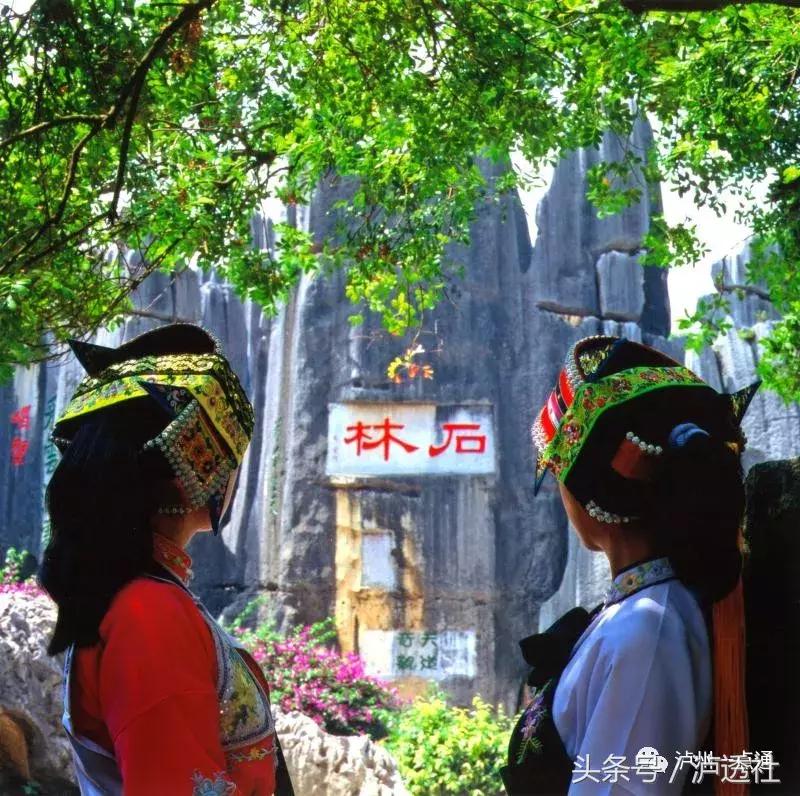 泸州看石林的地方,去石林游玩感言