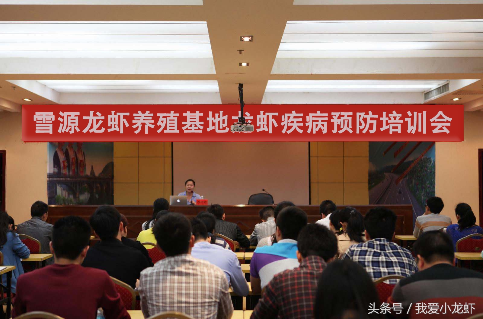 盱眙养殖龙虾赚钱,龙虾养殖是否赚钱