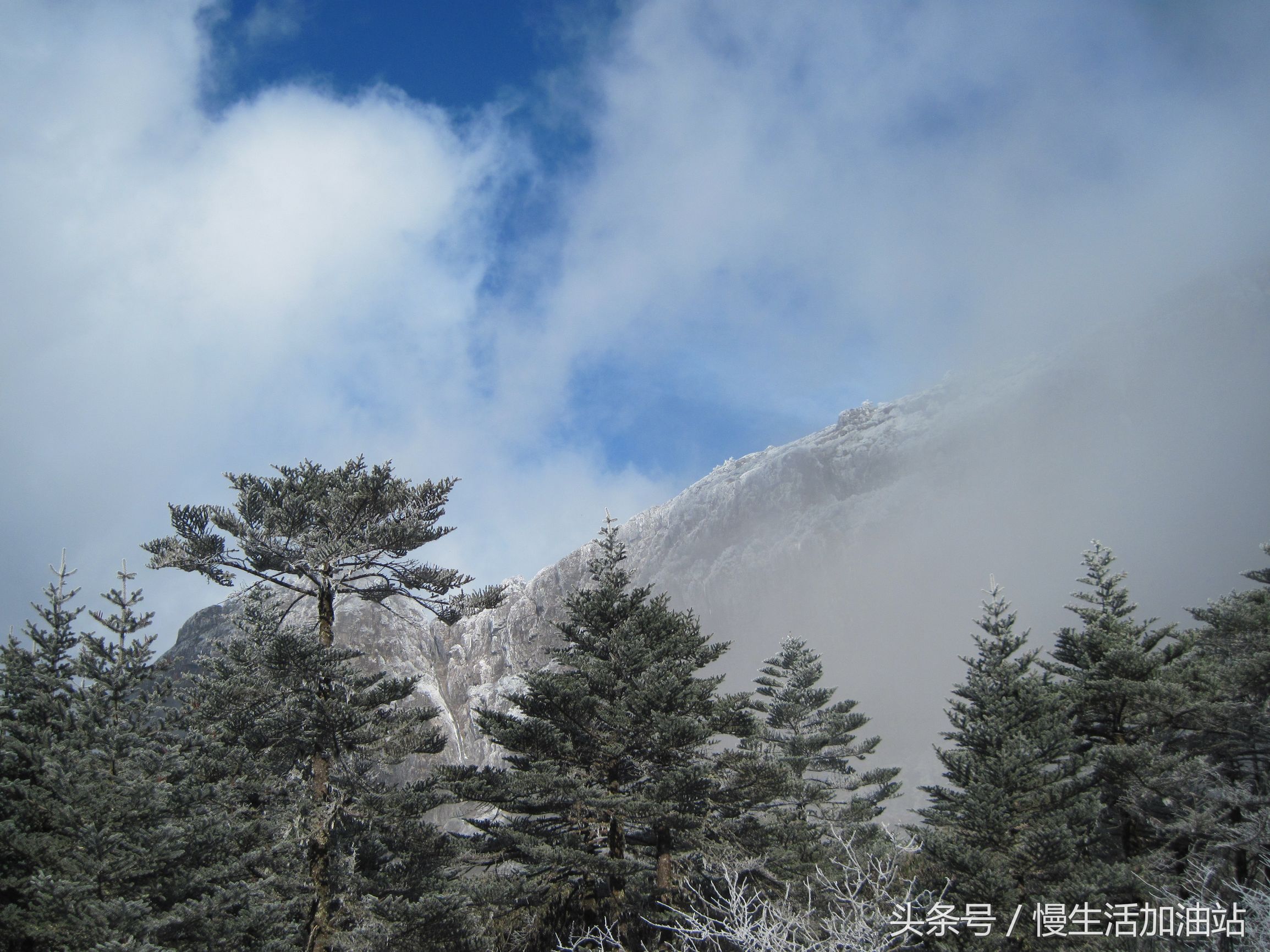 滇中轿子雪山风景区,滇中雪山
