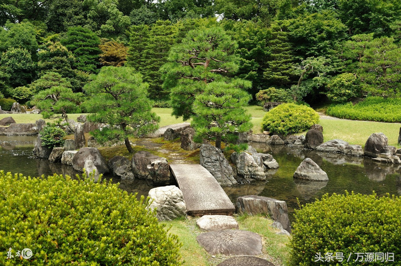 为保护动物，女富豪低调捐赠96亿！何巧女与东方园林的前世今生