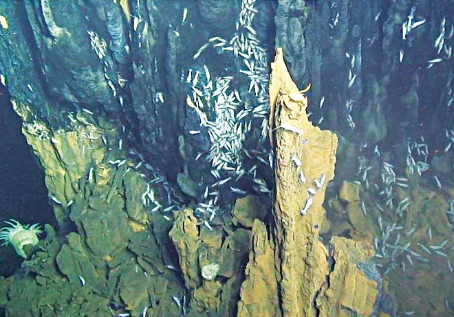 深海锰结核矿分布在哪,深海锰结核矿能做什么