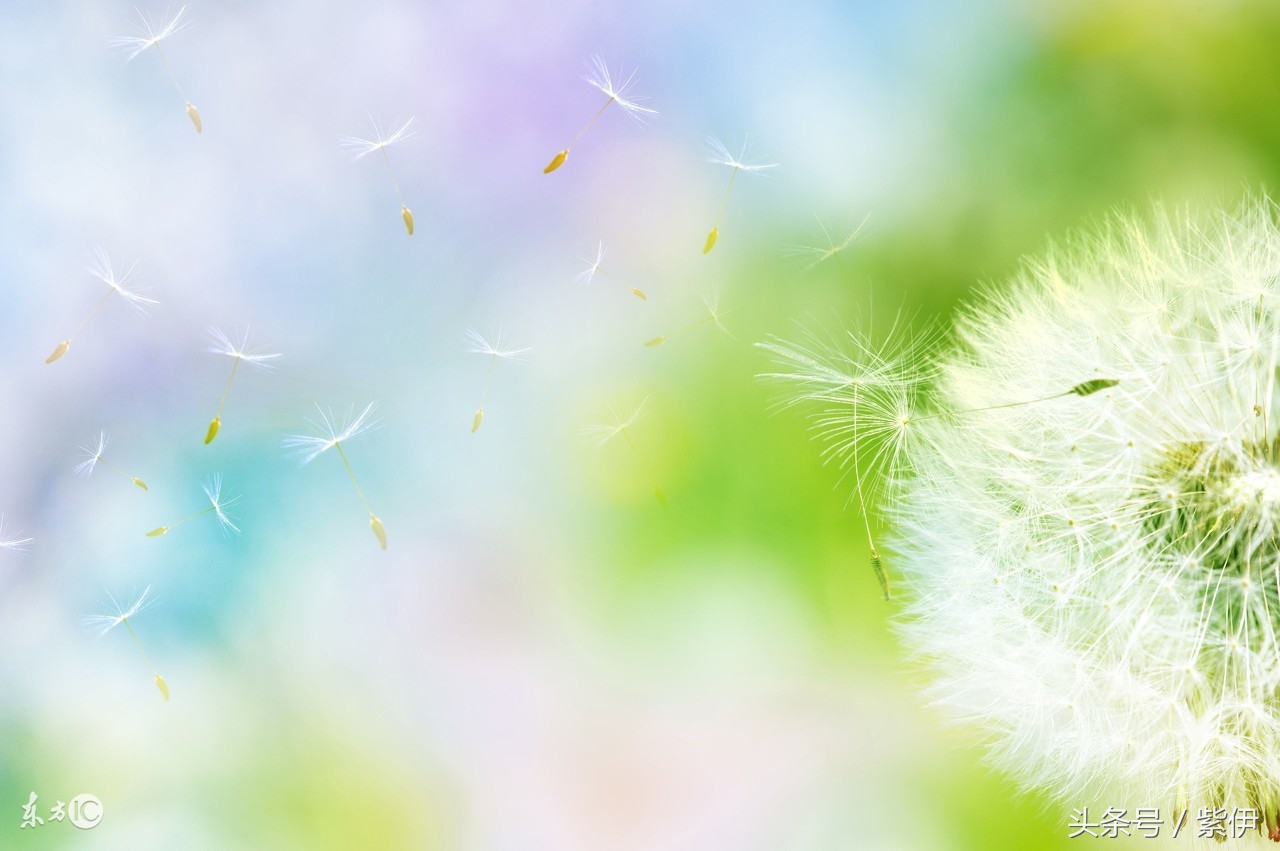 生完娃各种产后修复恢复得很好,生完孩子后如何产后恢复