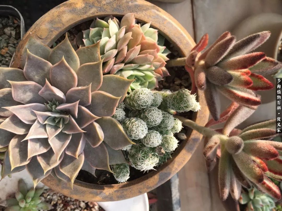 遇见你真是很幸运,遇见你真的很幸运下一句