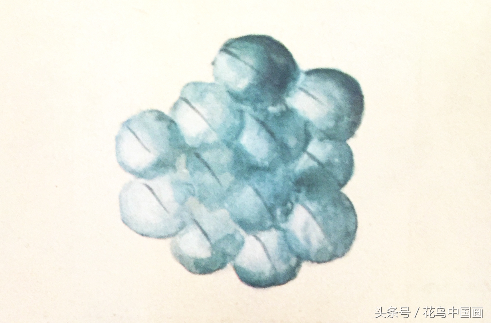 工笔国画白鸟的画法,写意花鸟羽毛技法