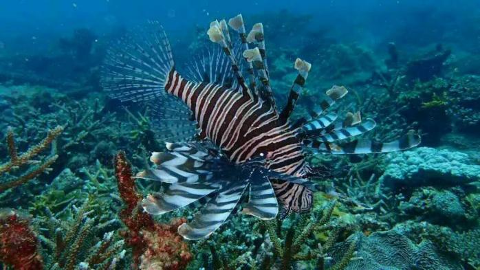 在沙巴亚庇沙滩看日落,沙巴亚庇的美丽落日