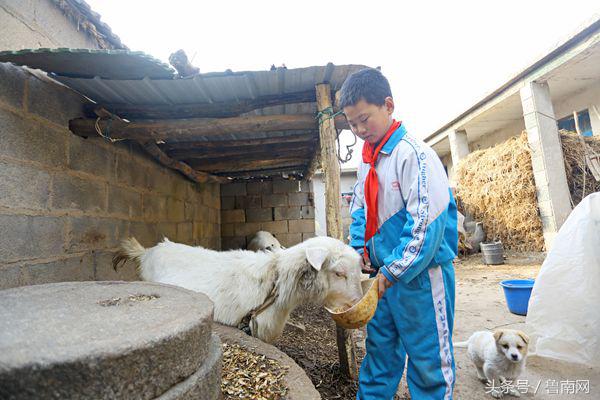 家境贫寒从小没过玩具9岁男孩自己做玩具成“发明家”