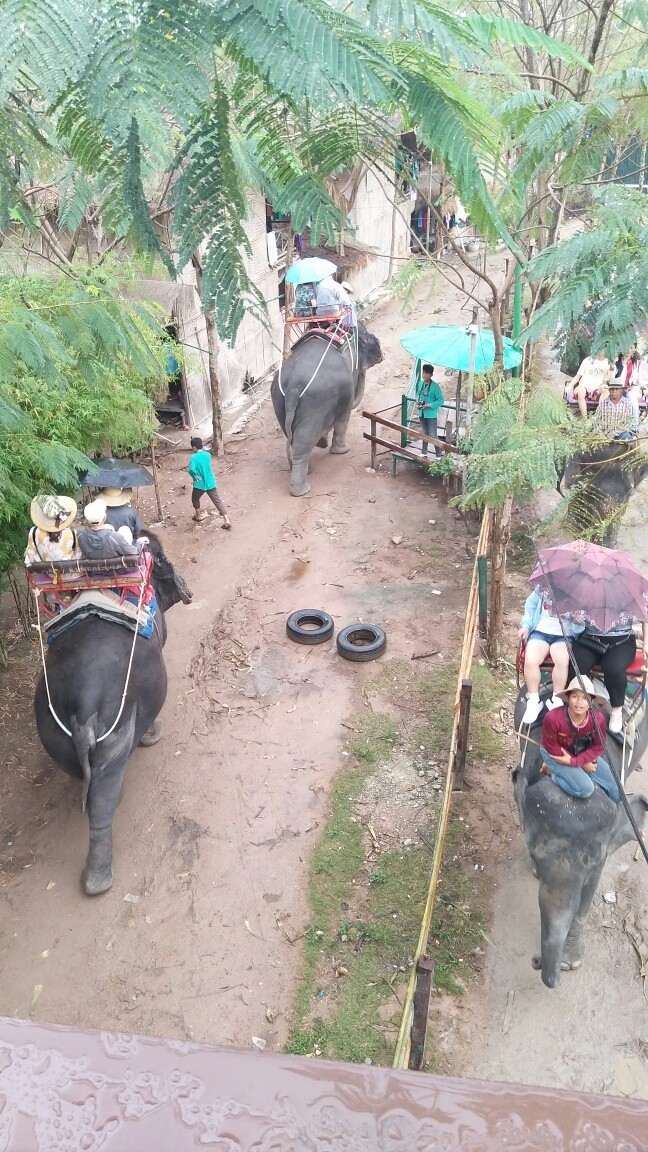 在泰国和泰国人对话,在泰国旅游怎么沟通