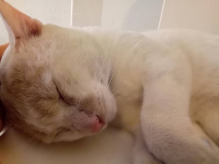 99年姑娘,2014年普吉岛之行