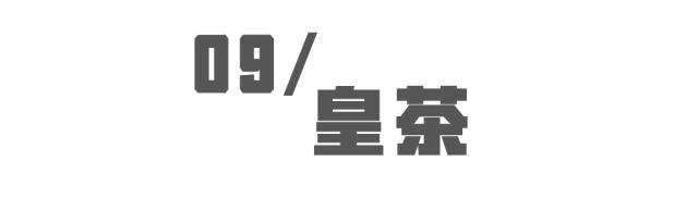 喝遍所有地方的拿铁,喝遍所有奶茶