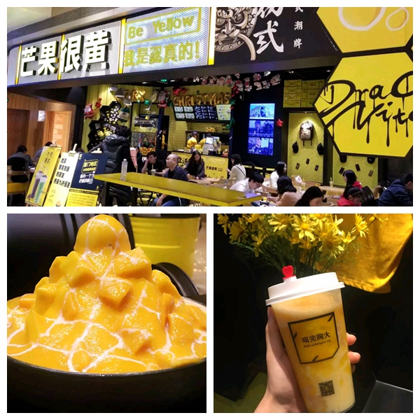 走心厦门自由行攻略超详细,厦门自由行攻略最详细