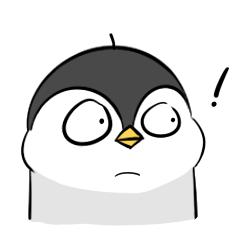 比小青蛙还萌的小企鹅——阿七，看一眼就会爱上的小贱萌