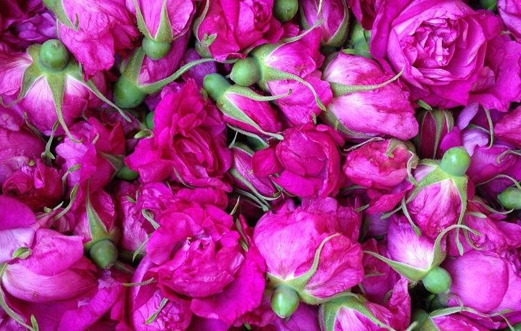 干性皮肤水乳敏感,干性皮肤缺水泛红敏感怎么办