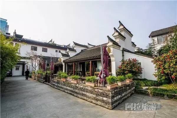 我也想有间这样的茶室，就在城中央，你却找不到|春日事5