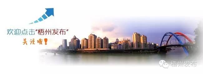 城中花园小区高层住户一晚粘住四五只老鼠?夏天到了,老鼠和蟑螂都飞天了!