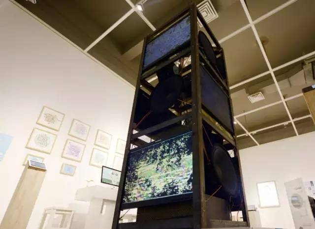 你们这么造秦岭，熊猫大大和朱鹮宝宝造吗？——极体营的小伙伴毕业了，他们的脑洞惊动了整个森林