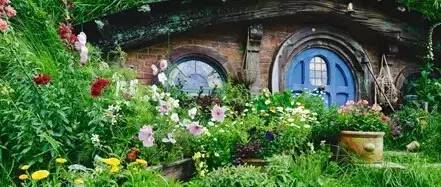 来新西兰必买的东西,来新西兰