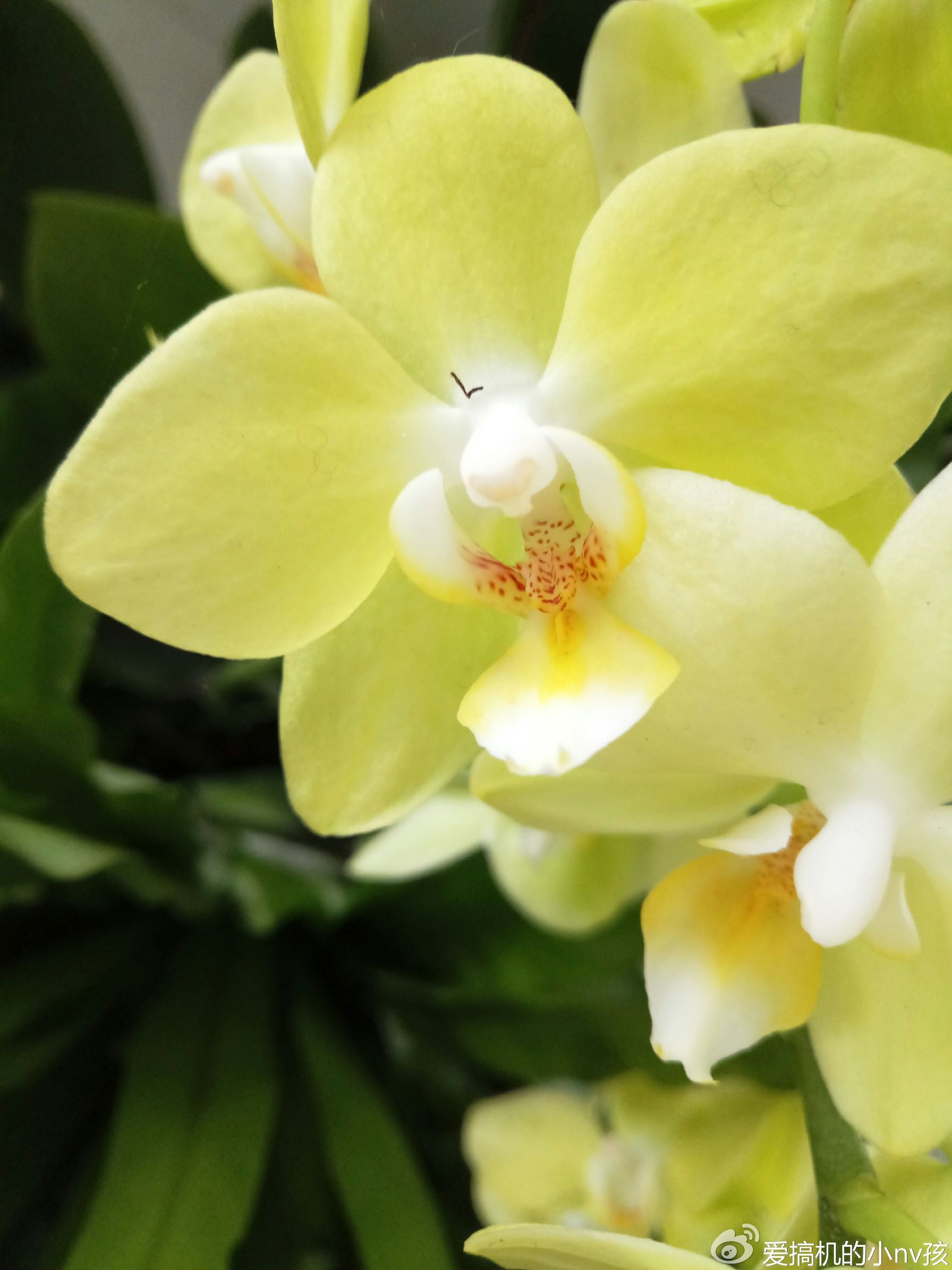 个性评测:关于魅族PRO6你们最关心的6大问题