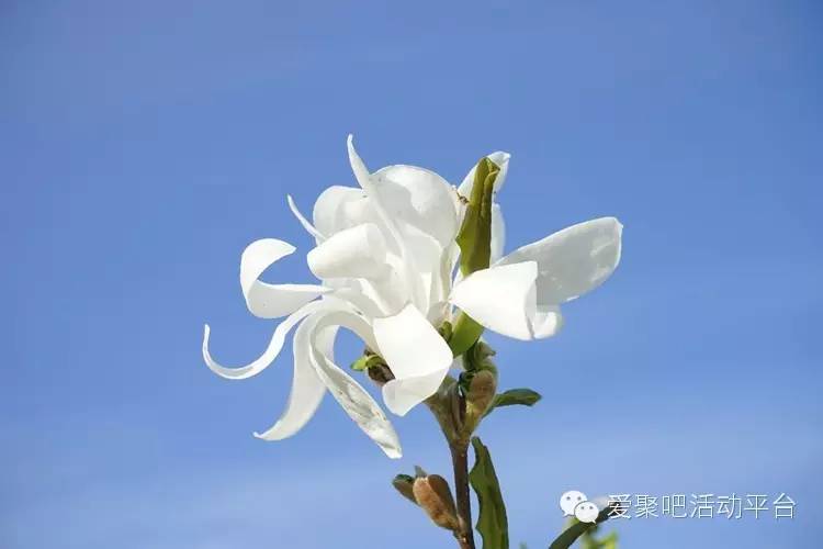 母亲节快到了,带爸妈去哪玩？推荐6个活动！