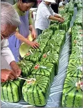 吃过这五种水果是土豪,这些水果吃过一半以上的全是土豪