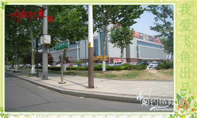 我爱飞鱼初探新钓点