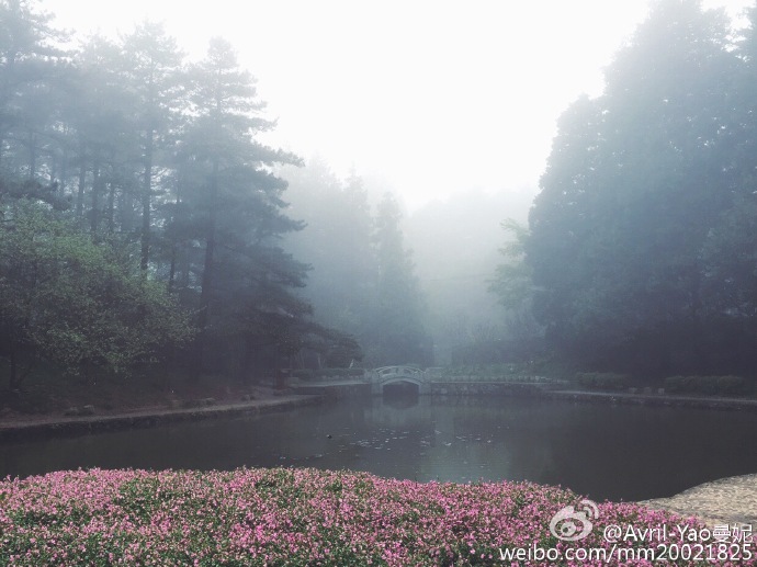 庐山花径公园有哪些花,庐山花径公园是什么意思