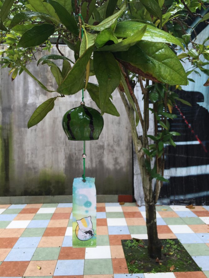 鼓浪屿自驾游全攻略,厦门鼓浪屿登岛全攻略