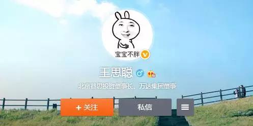 王思聪最奇葩的域名,王思聪花钱买域名