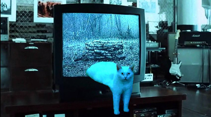 喵星人被恶搞了,喵星人下楼梯