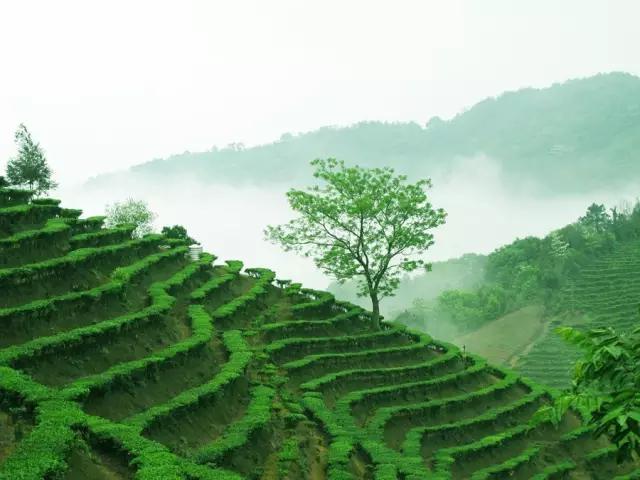 南宁旅游详细攻略,南宁旅游攻略有海吗
