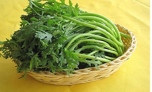 原发性高血压170以上吃什么降压药,原发性高血压吃什么中药最合适