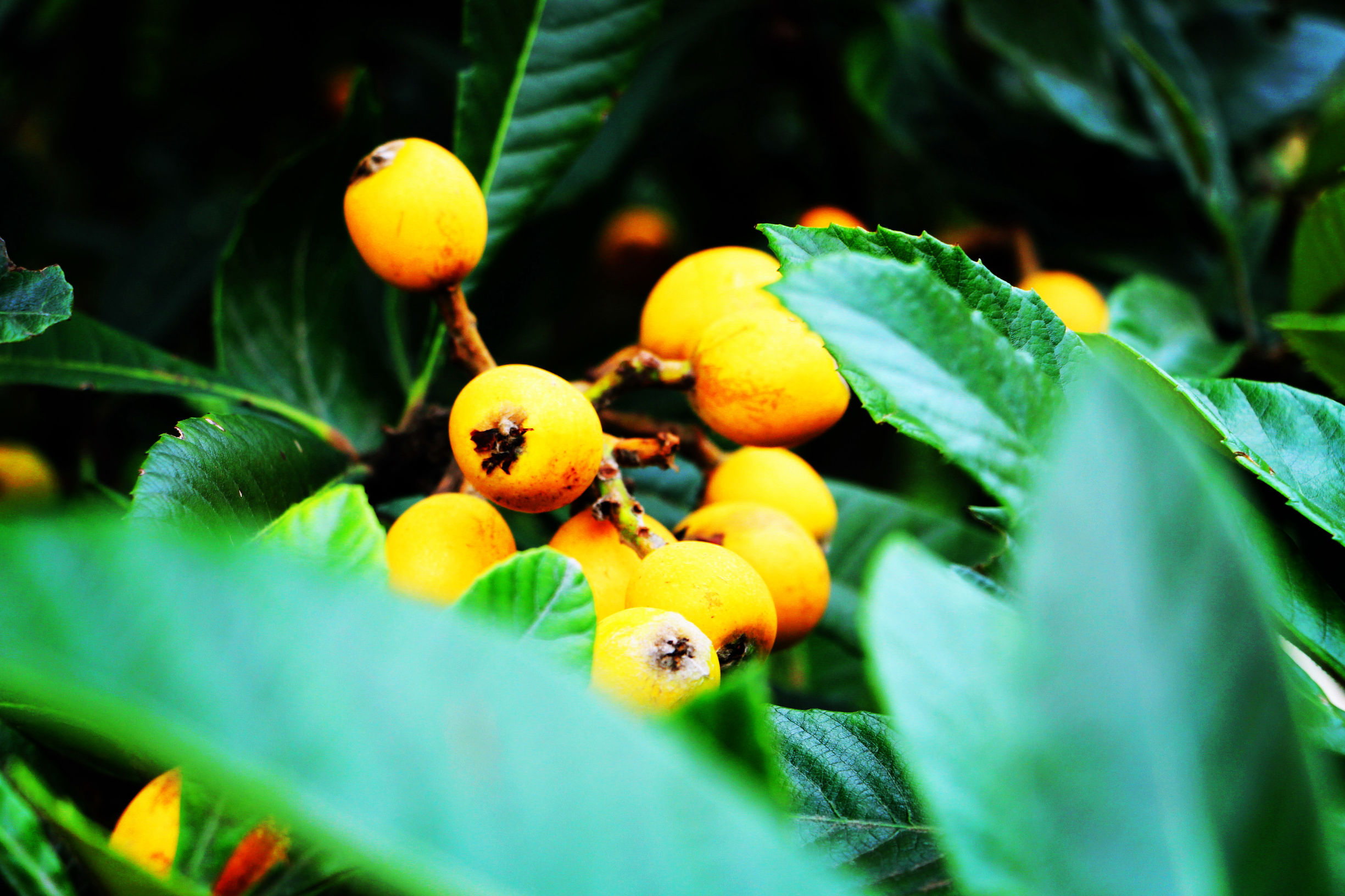 人间仙境东江湖,东江湖真的绝美