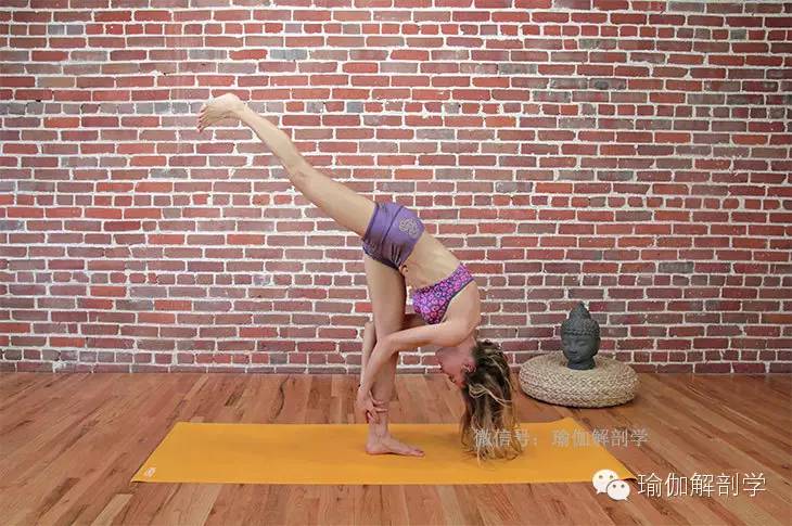 练臀部的瑜伽体式,想让臀部翘起来怎样练最快翘起来