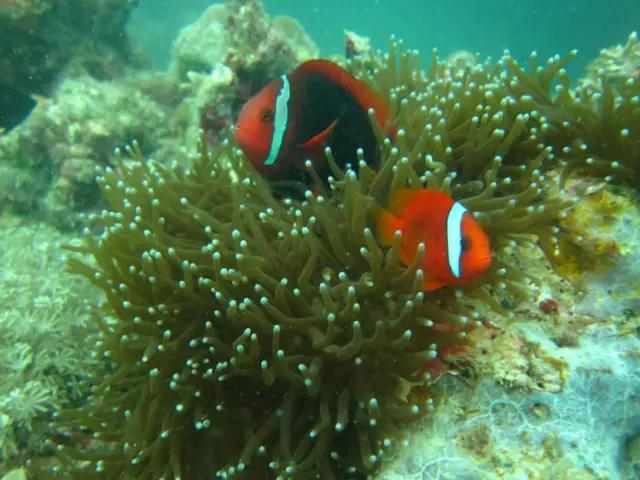这才是菲律宾的真面目，一顾迷人眼，再顾享入“菲菲”