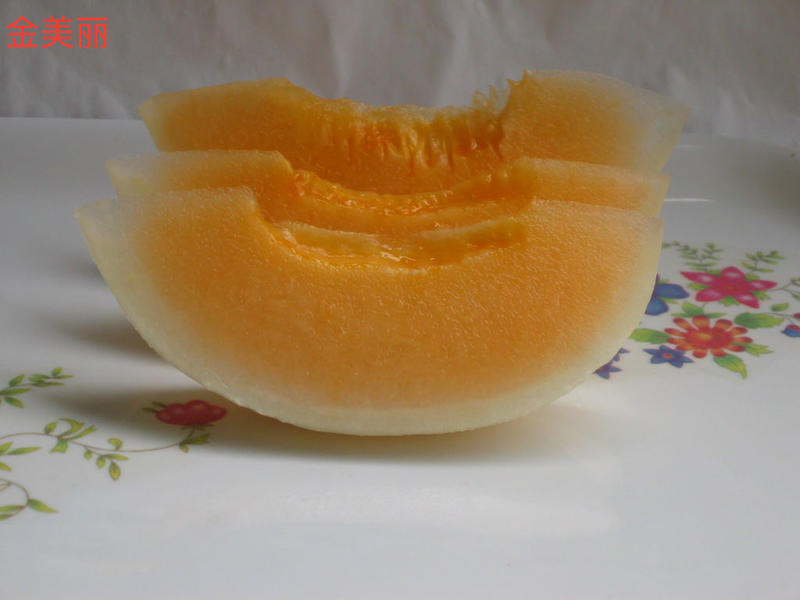 甜瓜品种类型介绍,甜瓜品种分布