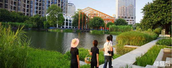 城市双修的缺点,什么是城市双修