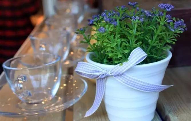 泡过的茶叶有什么药效,没泡过的茶叶妙用