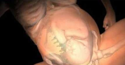 生宝宝到底有多痛？看了这个就明白了！