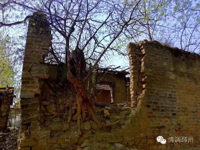 奔跑在路上看风景,奔跑着看风景视频