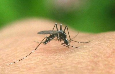 北京新冠病例治疗情况,北京新确诊新冠相关情况